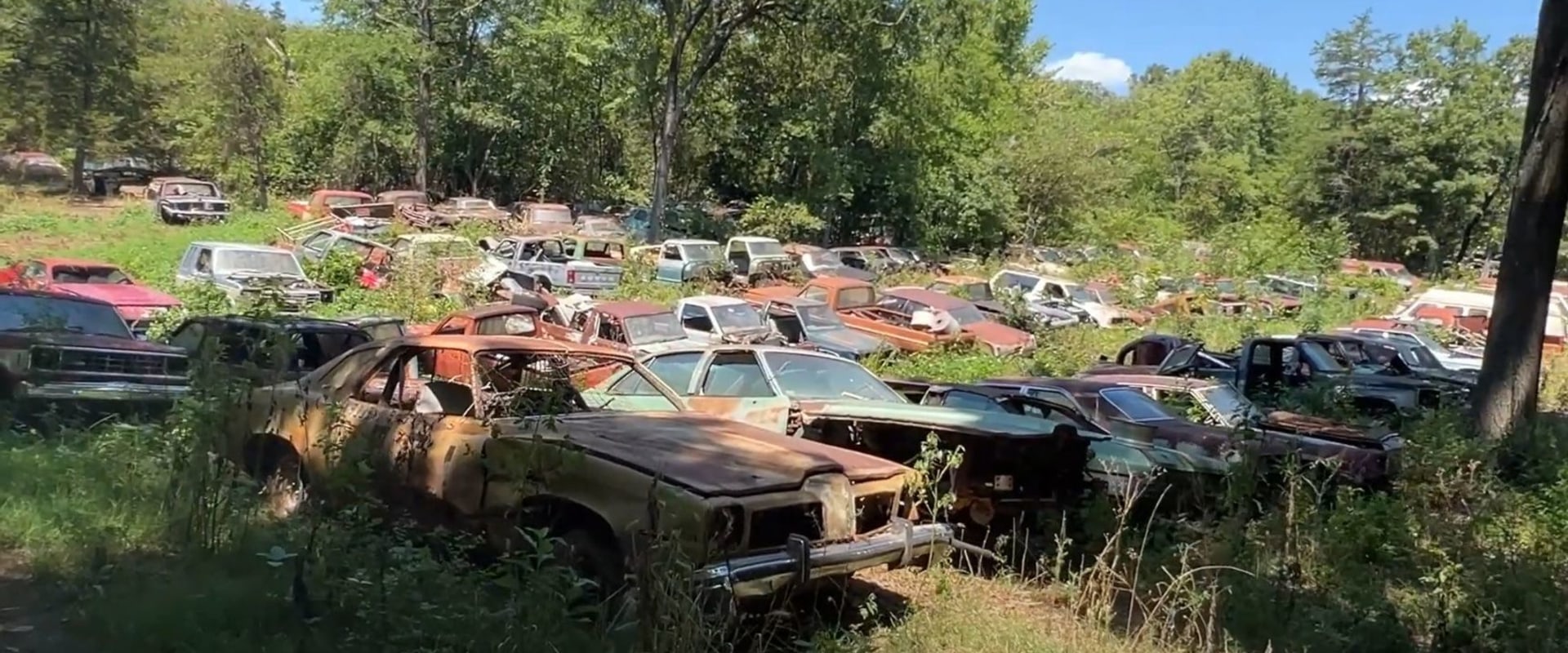 Exploring the Fascinating Vintage Cars of Central Texas